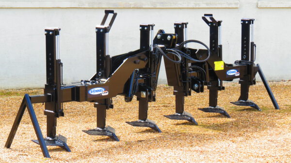 LSM – Image 4